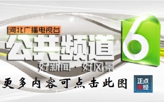 河北公共频道，河北公共频道节目单